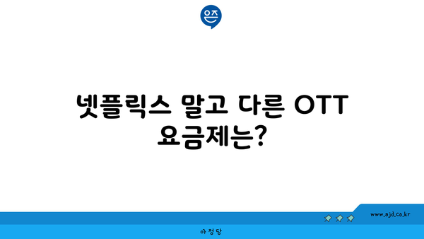 넷플릭스 말고 다른 OTT 요금제는?