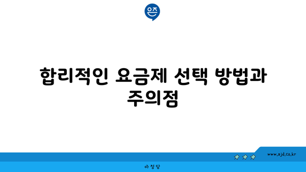 합리적인 요금제 선택 방법과 주의점