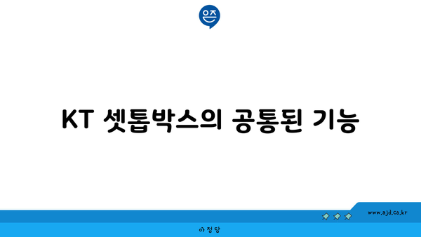 KT 셋톱박스의 공통된 기능