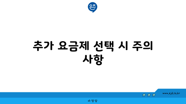 추가 요금제 선택 시 주의 사항