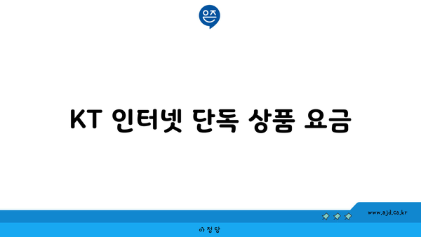 KT 인터넷 단독 상품 요금