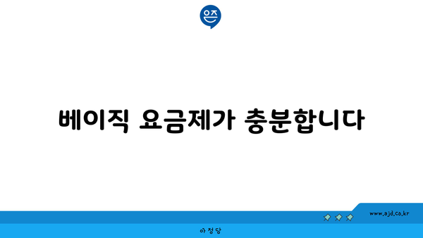 베이직 요금제가 충분합니다