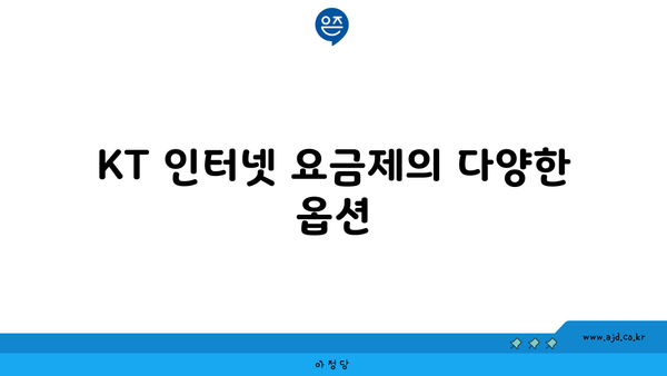 KT 인터넷 요금제의 다양한 옵션