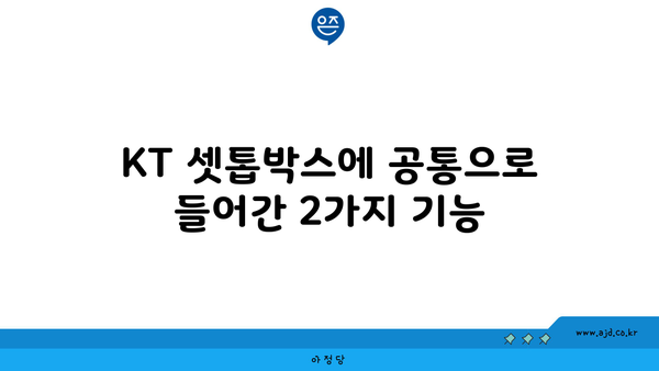 KT 셋톱박스에 공통으로 들어간 2가지 기능