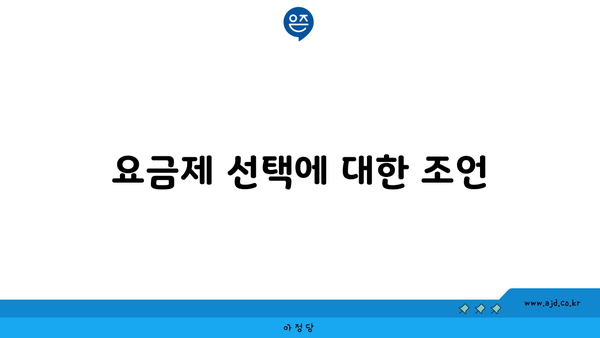 요금제 선택에 대한 조언