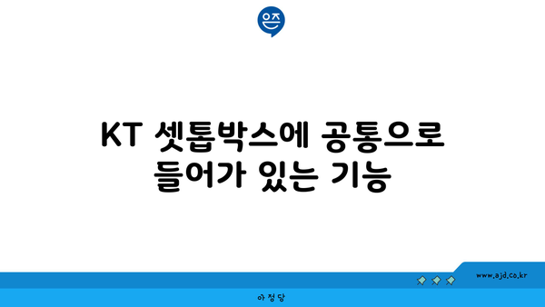 KT 셋톱박스에 공통으로 들어가 있는 기능