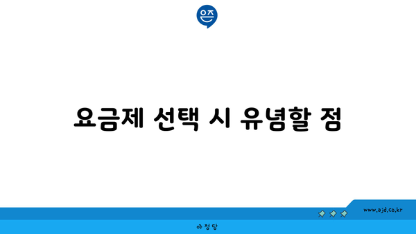 요금제 선택 시 유념할 점