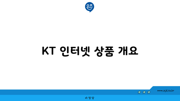 KT 인터넷 상품 개요