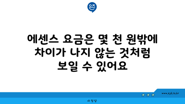 에센스 요금은 몇 천 원밖에 차이가 나지 않는 것처럼 보일 수 있어요