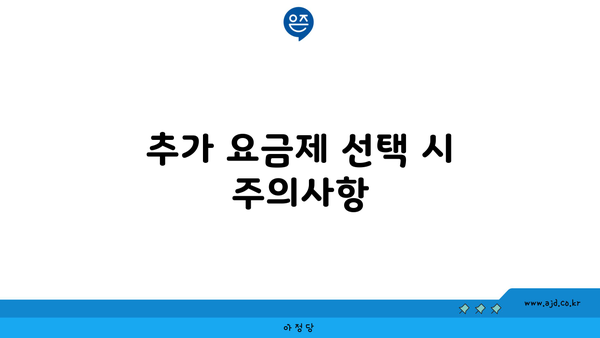 추가 요금제 선택 시 주의사항