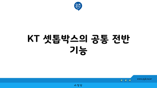 KT 셋톱박스의 공통 전반 기능