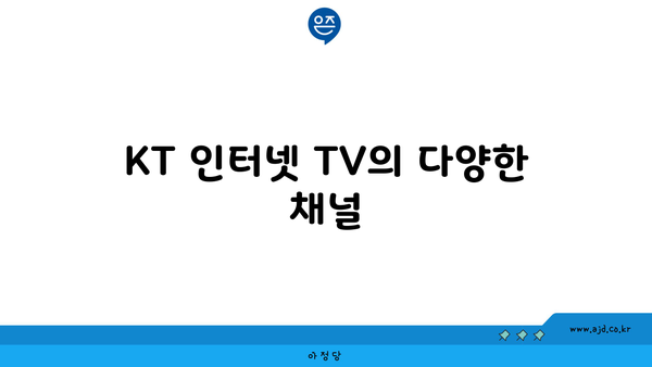 KT 인터넷 TV의 다양한 채널