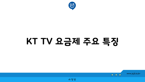 KT TV 요금제 주요 특징