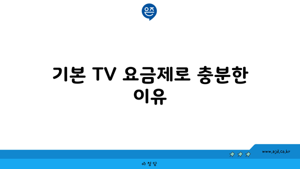 기본 TV 요금제로 충분한 이유