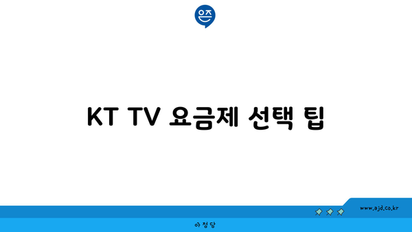 KT TV 요금제 선택 팁