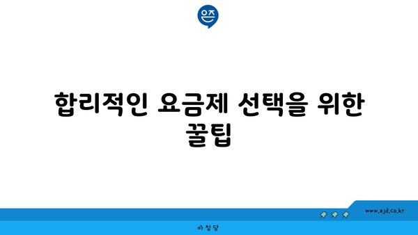 합리적인 요금제 선택을 위한 꿀팁