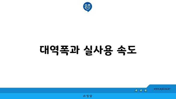 대역폭과 실사용 속도