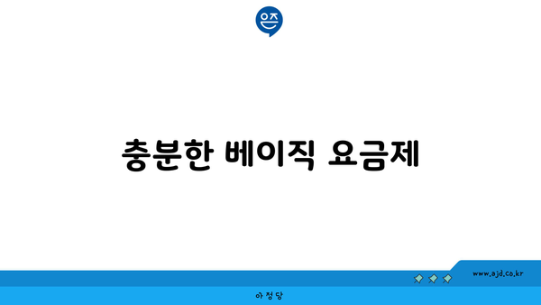 충분한 베이직 요금제