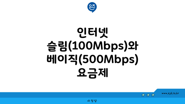 인터넷 슬림(100Mbps)와 베이직(500Mbps) 요금제