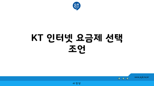 KT 인터넷 요금제 선택 조언