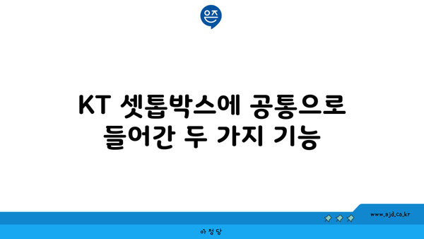 KT 셋톱박스에 공통으로 들어간 두 가지 기능