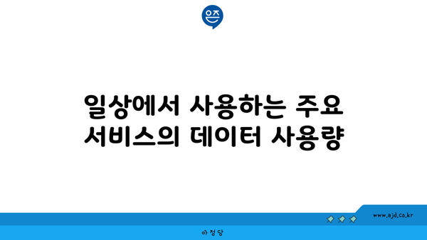 일상에서 사용하는 주요 서비스의 데이터 사용량