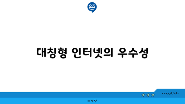 대칭형 인터넷의 우수성