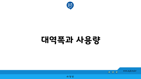 대역폭과 사용량