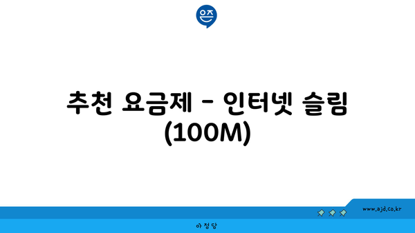 추천 요금제 - 인터넷 슬림 (100M)