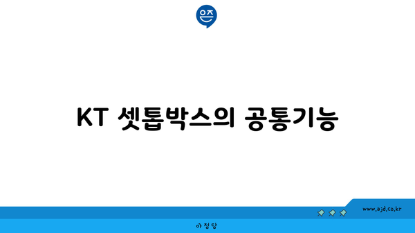 KT 셋톱박스의 공통기능