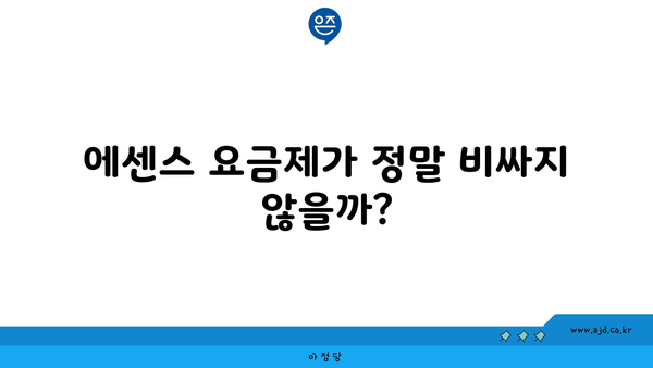 에센스 요금제가 정말 비싸지 않을까?