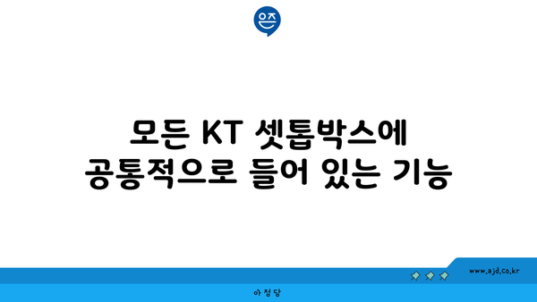 모든 KT 셋톱박스에 공통적으로 들어 있는 기능