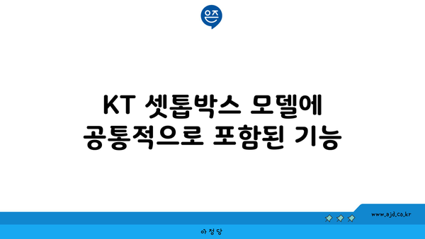 KT 셋톱박스 모델에 공통적으로 포함된 기능