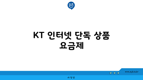 KT 인터넷 단독 상품 요금제