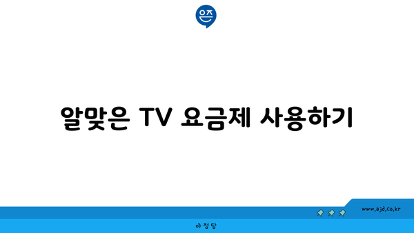 알맞은 TV 요금제 사용하기