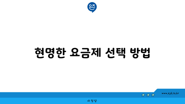 현명한 요금제 선택 방법