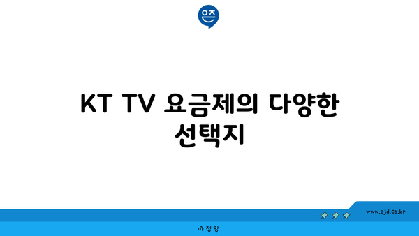 KT TV 요금제의 다양한 선택지