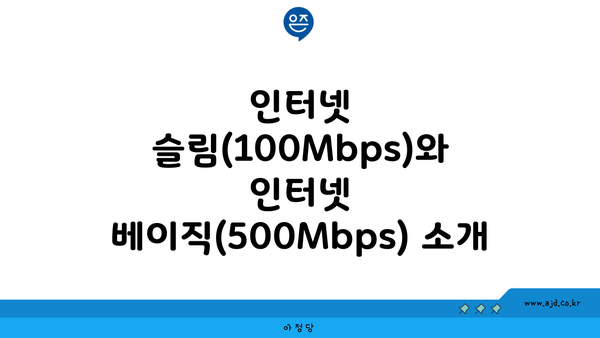 인터넷 슬림(100Mbps)와 인터넷 베이직(500Mbps) 소개