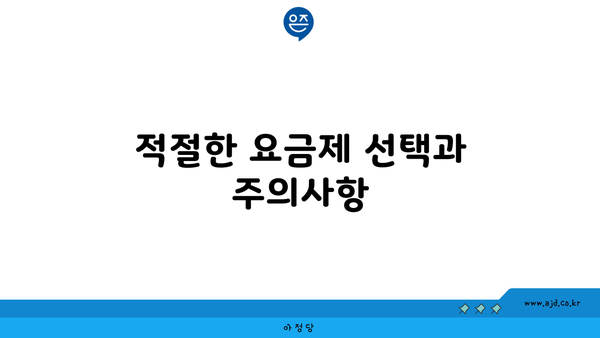 적절한 요금제 선택과 주의사항