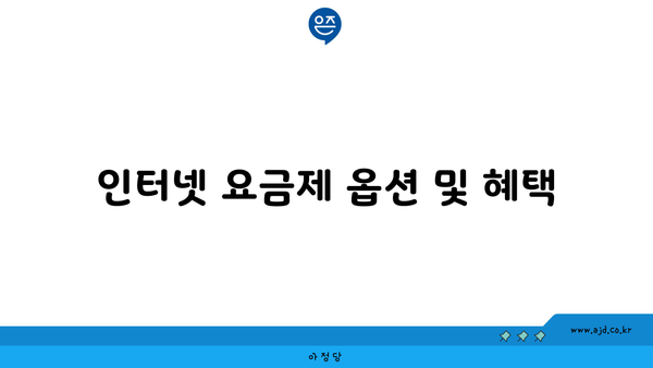 인터넷 요금제 옵션 및 혜택