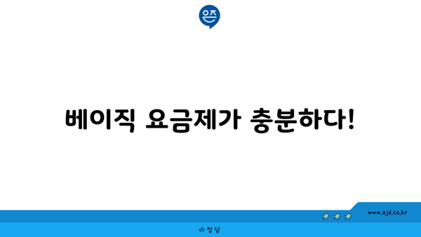 베이직 요금제가 충분하다!