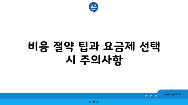 비용 절약 팁과 요금제 선택 시 주의사항