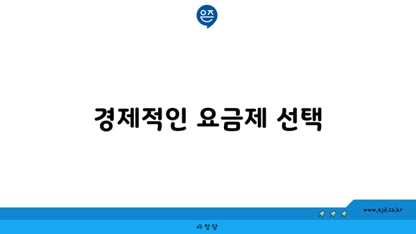 경제적인 요금제 선택