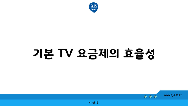 기본 TV 요금제의 효율성