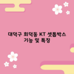 대덕구 회덕동 KT 셋톱박스 기능 및 특징