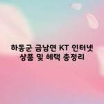 하동군 금남면 KT 인터넷 상품 및 혜택 총정리