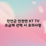 진안군 안천면 KT TV 요금제 선택 시 유의사항