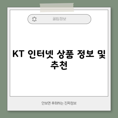 KT 인터넷 상품 정보 및 추천