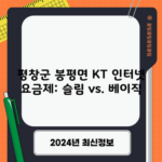 평창군 봉평면 KT 인터넷 요금제: 슬림 vs. 베이직