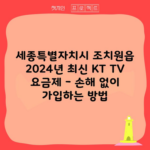 세종특별자치시 조치원읍 2024년 최신 KT TV 요금제 – 손해 없이 가입하는 방법